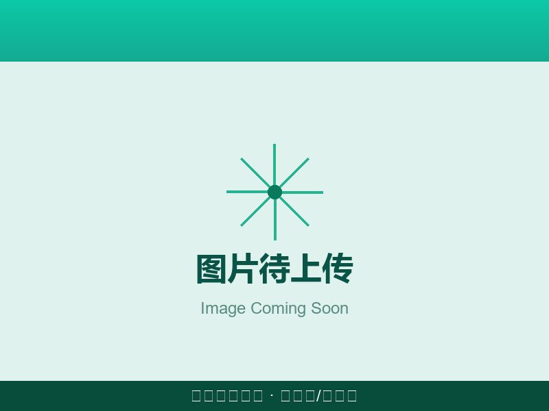 凉味剂 WS-2
